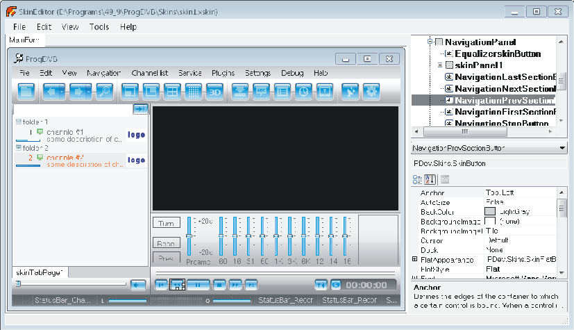 ORG – Skin Editor Guide